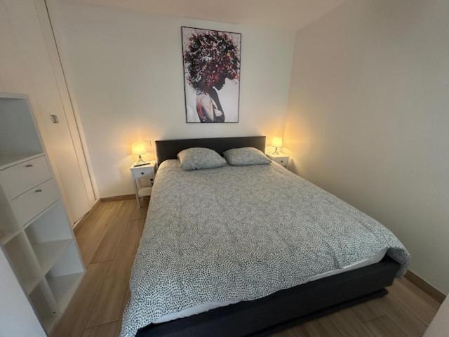 Tout Confort Au Barcares 르발카레스 외부 사진